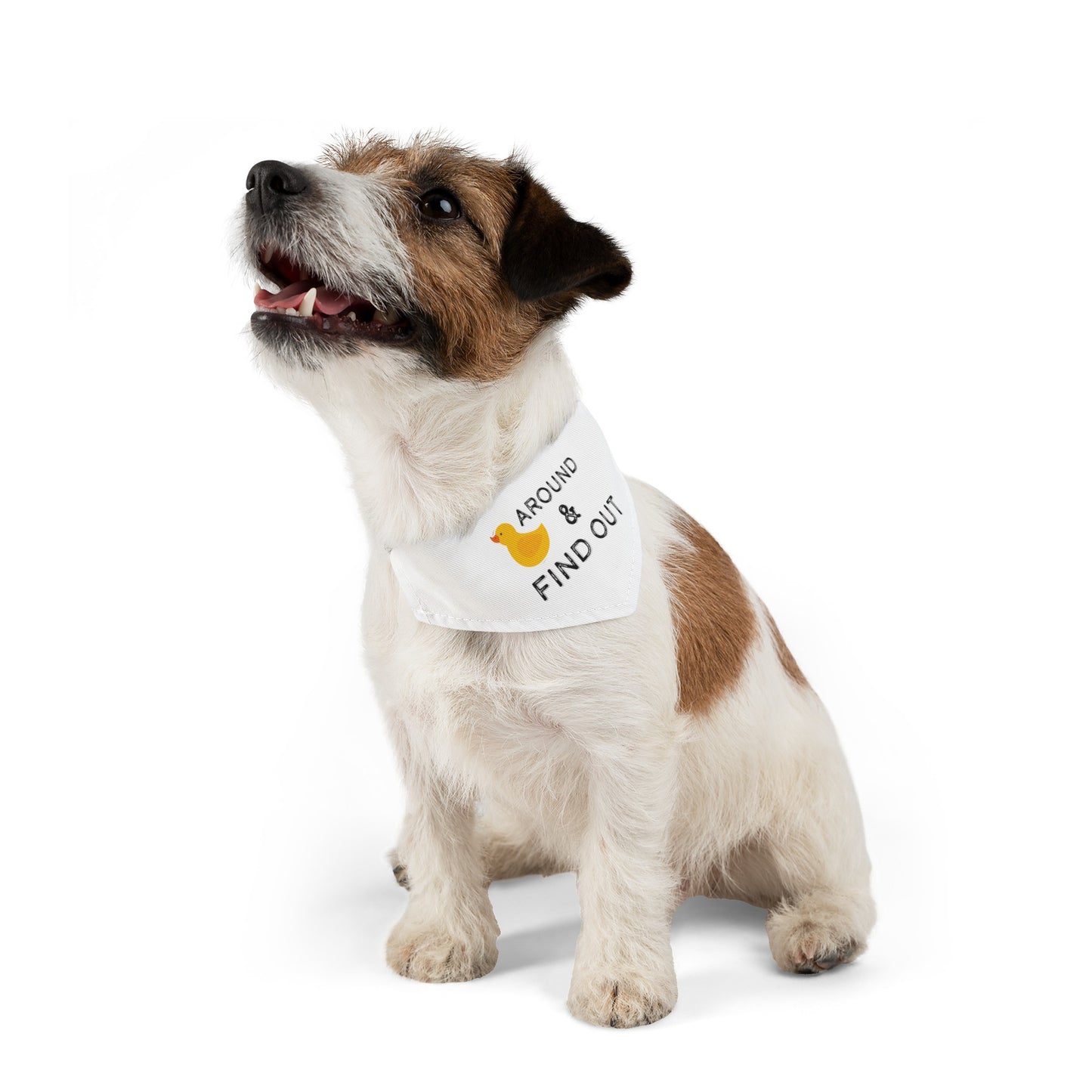 Duck around Pet Bandana Collar