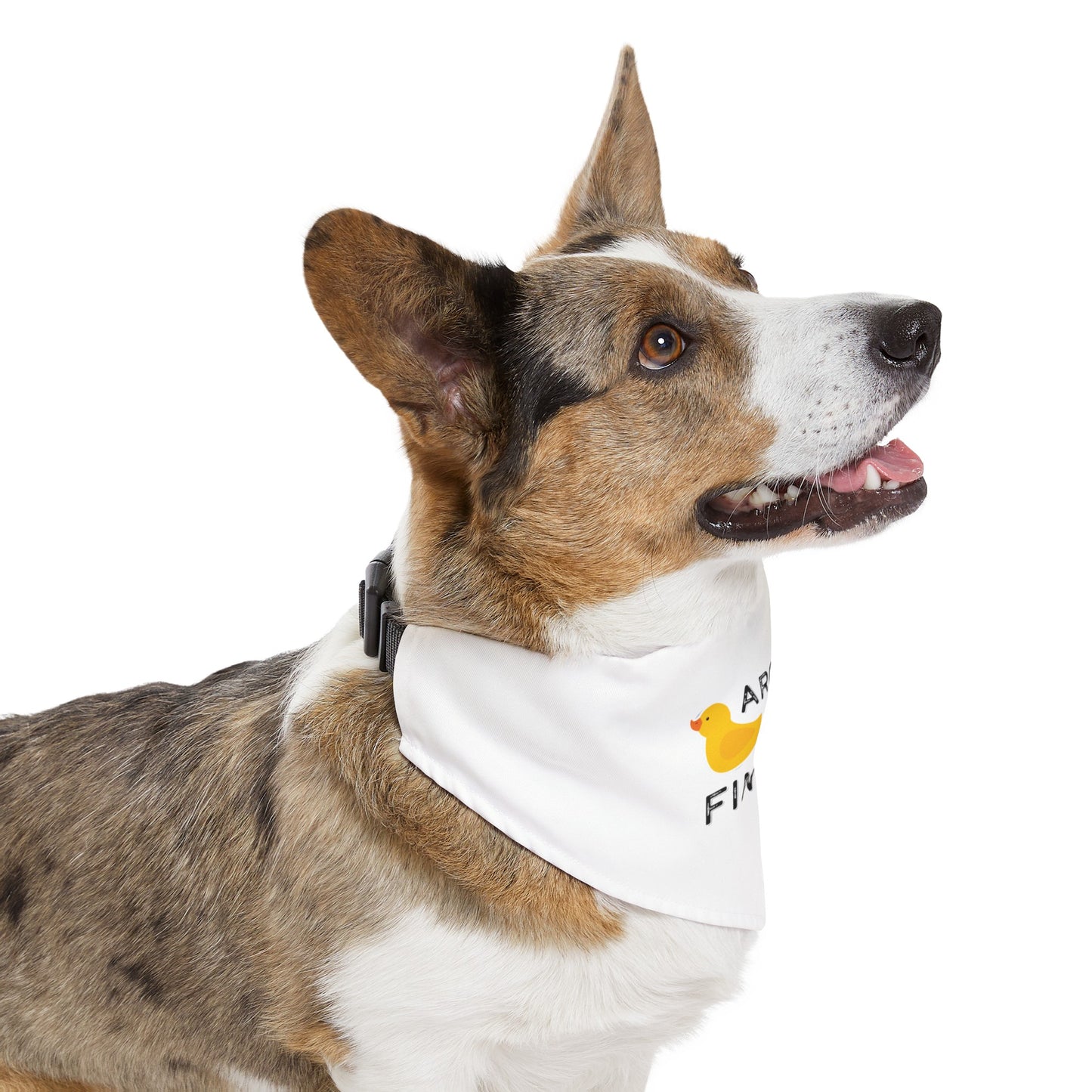 Duck around Pet Bandana Collar