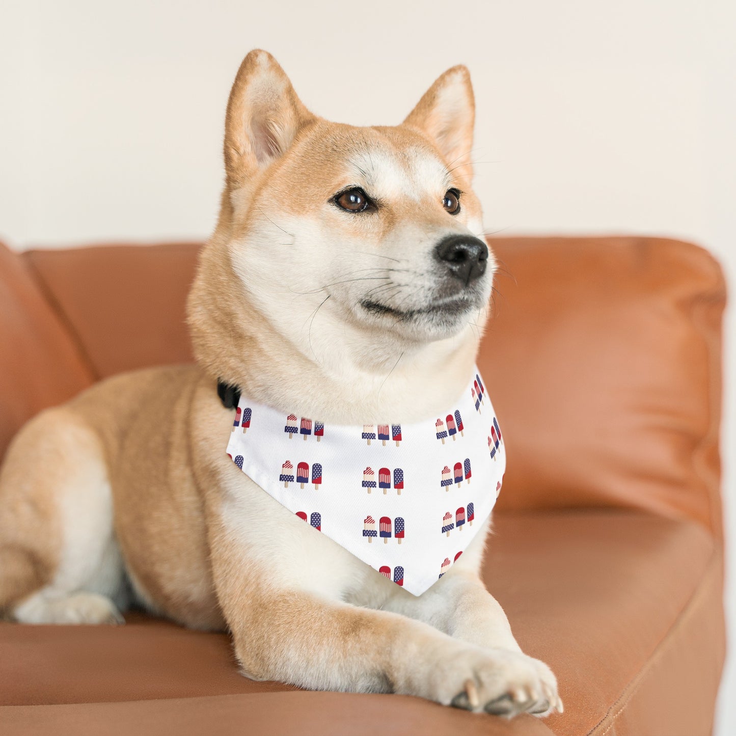 Americana Pet Bandana Collar