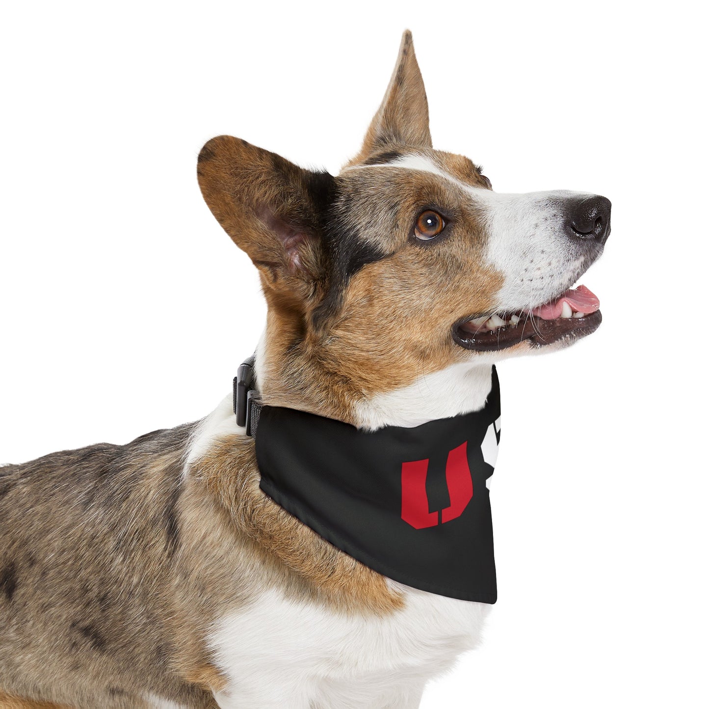 USA Pet Bandana Collar