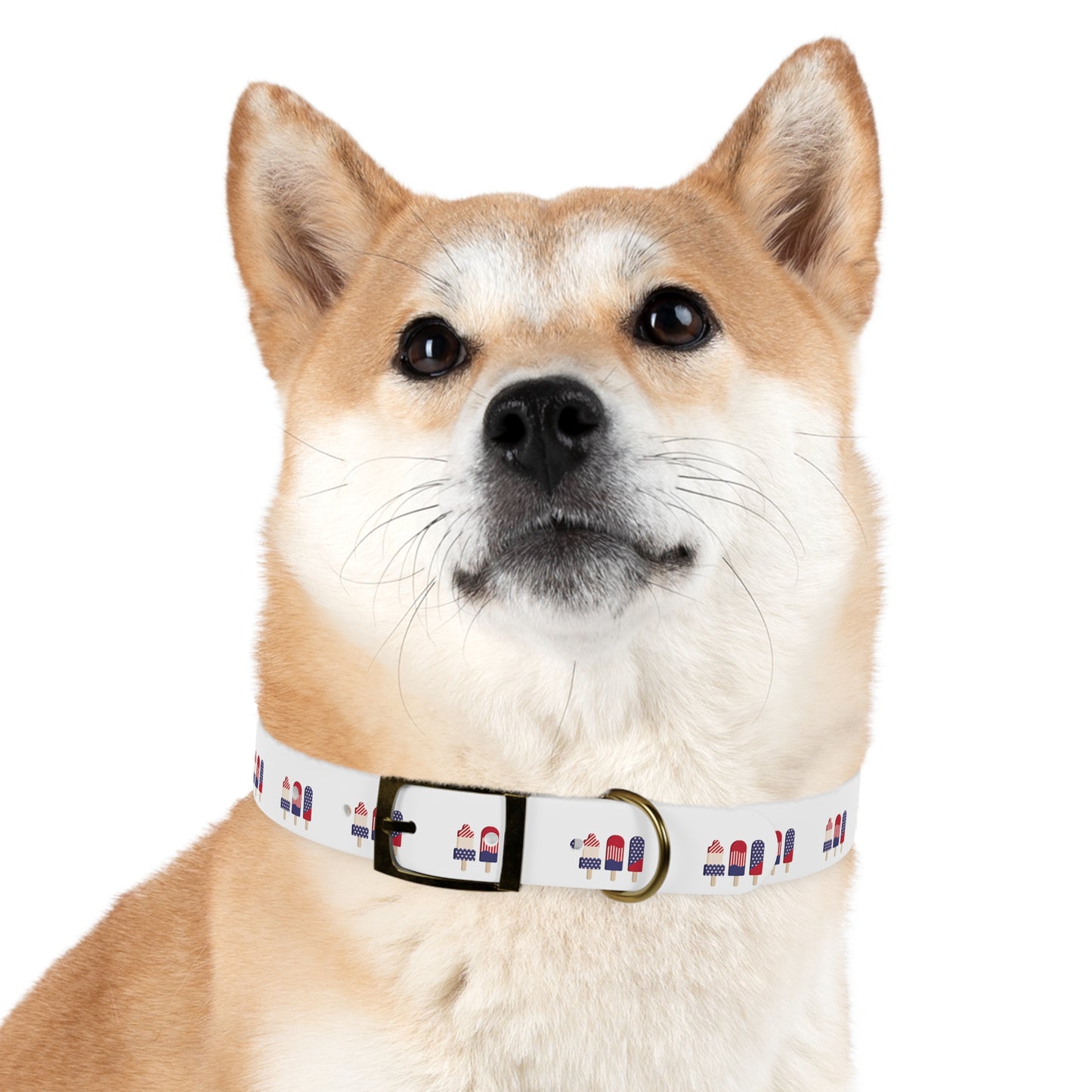 Americana Dog Collar